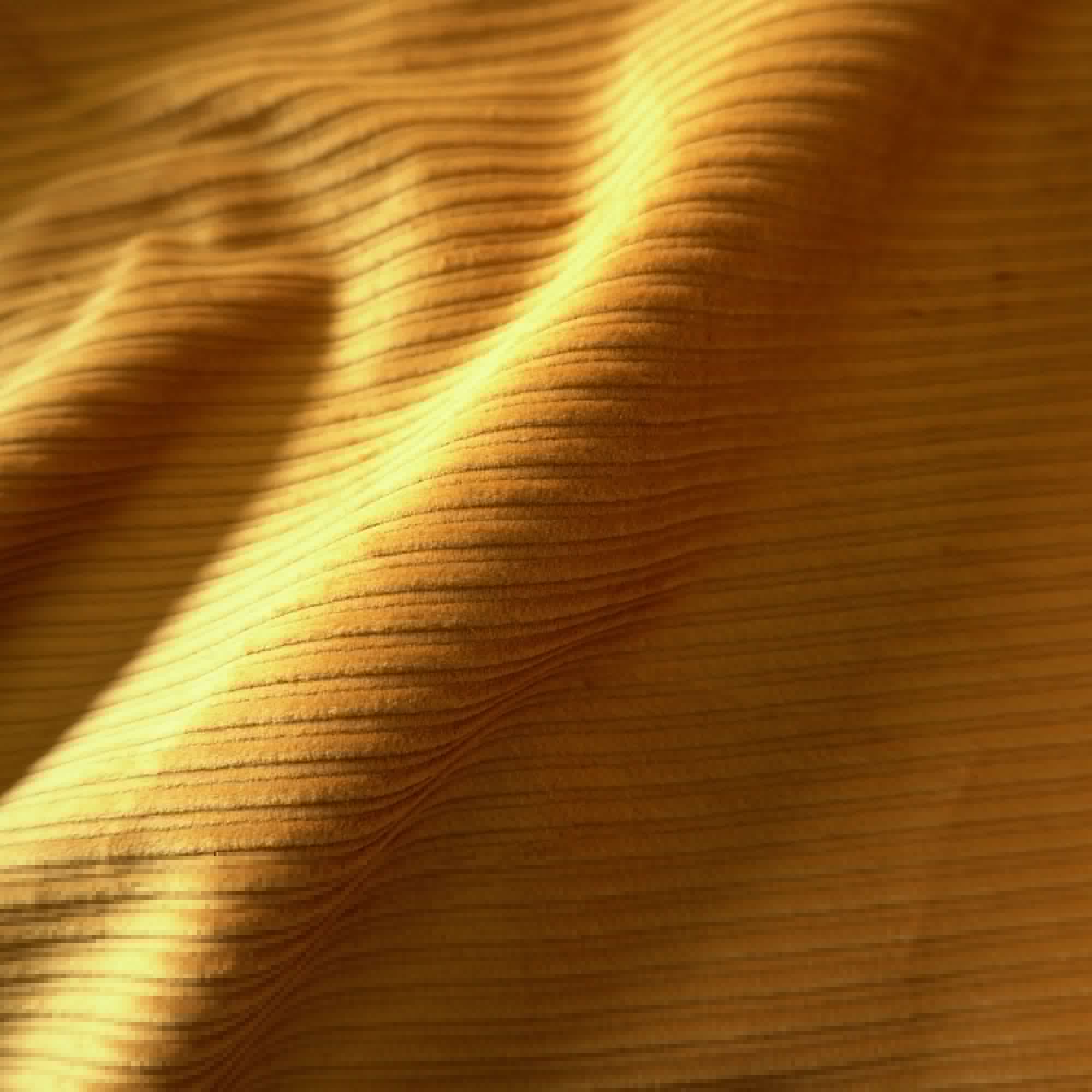 Horizontal Stretchy Corduroy - Ginger