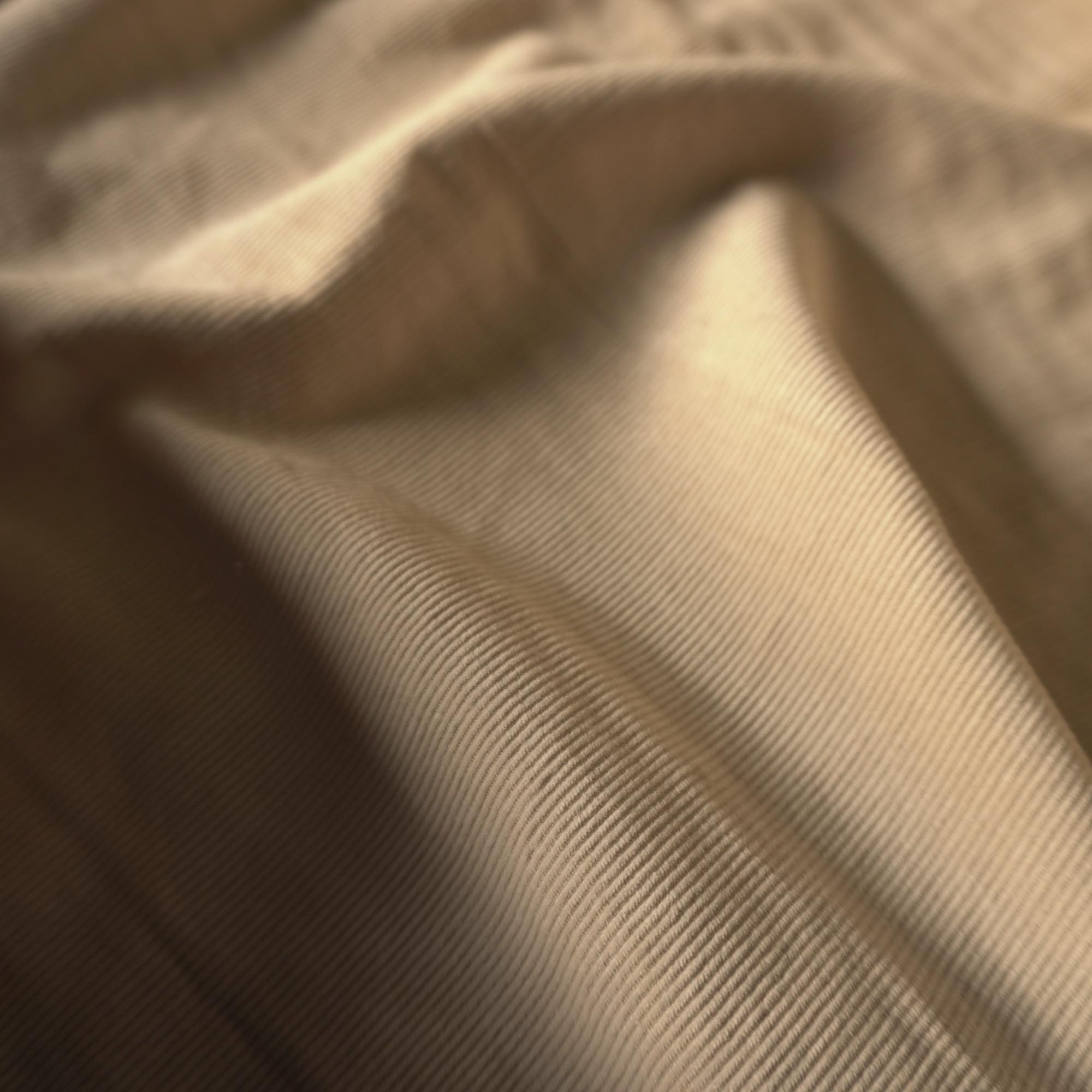 14w Needle Corduroy – Cream