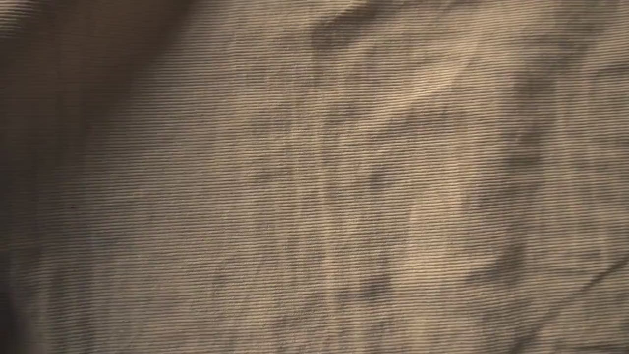 14w Needle Corduroy – Cream