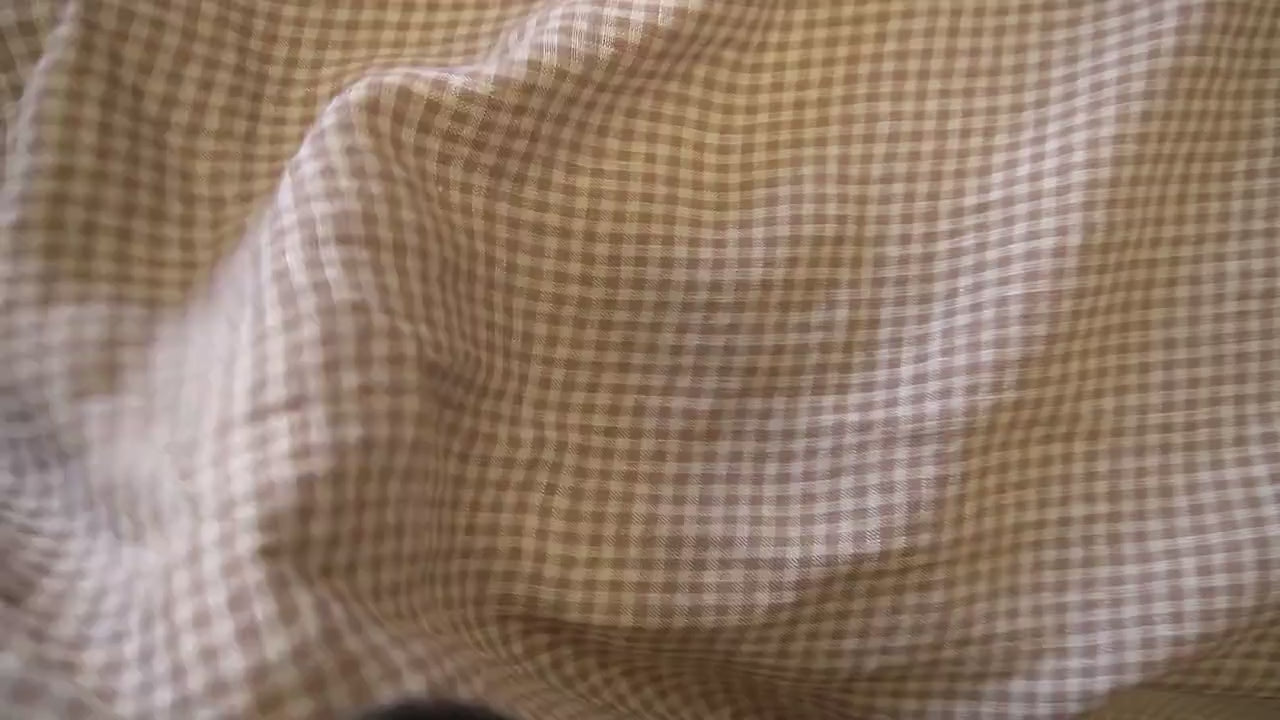 Washed Yarn dyed Linen gingham - Beige